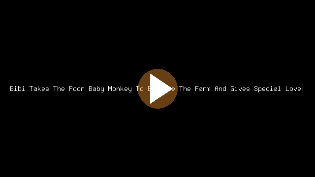 Bibi Takes The Poor Baby Monkey To Explore The Farm And Gives Special Love!